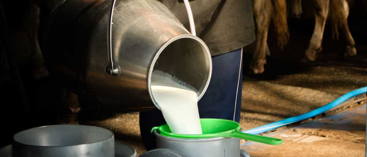 Αυξητικές τάσεις επικρατούν το τελευταίο διάστημα στην Ήπειρο οι τιμές του γάλακτος