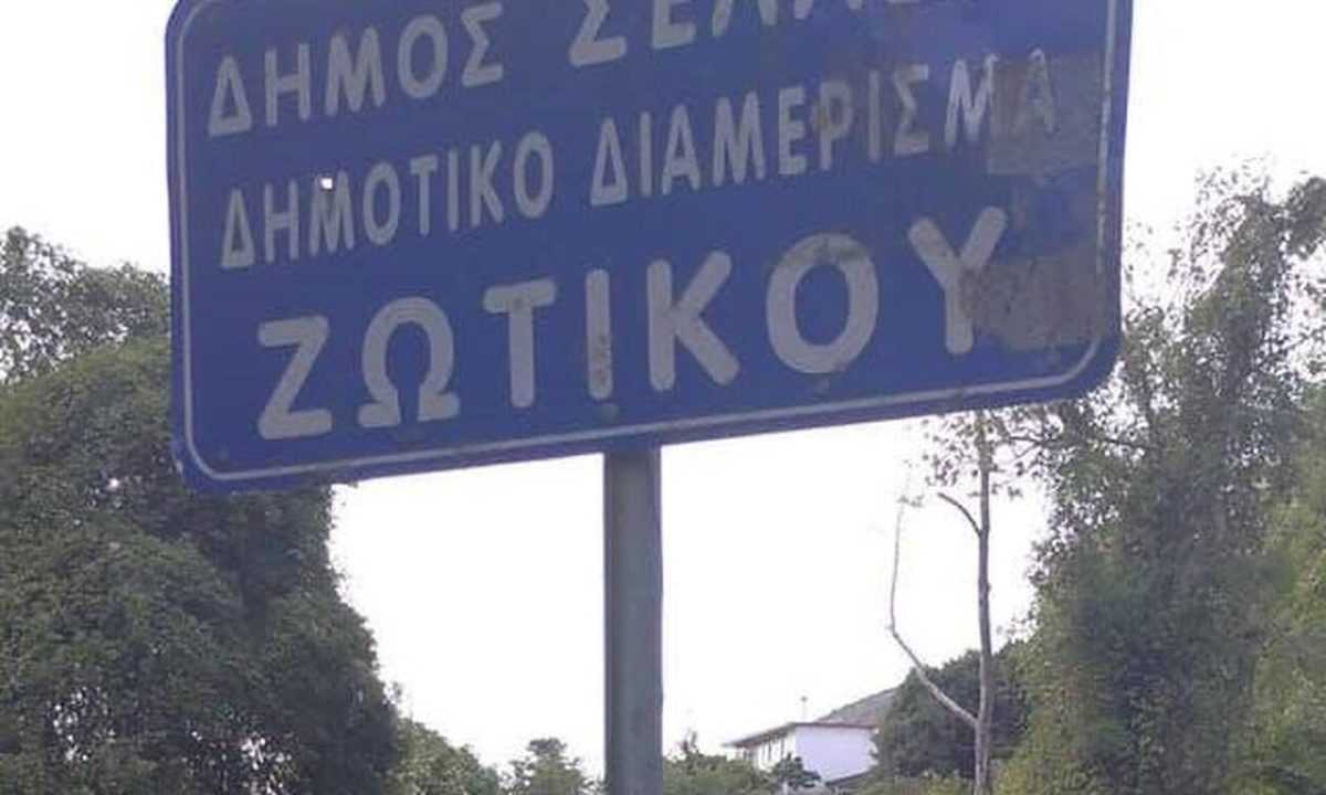 Φρίκη στα Ιωάννινα: Κρέμασαν αλεπού σε πινακίδα σήμανσης