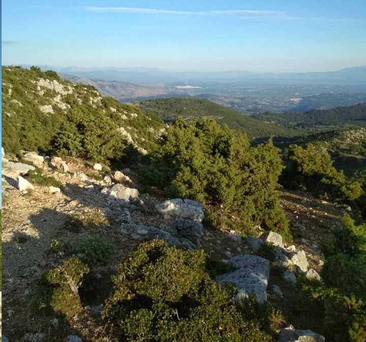 “Στοπ” στην ανεξέλεγκτη κοπή δέντρων από το βουνό “Βαλαωρίτης” βάζουν ο Δήμος Ζηρού και η Τοπική Κοινότητα Κρανιάς