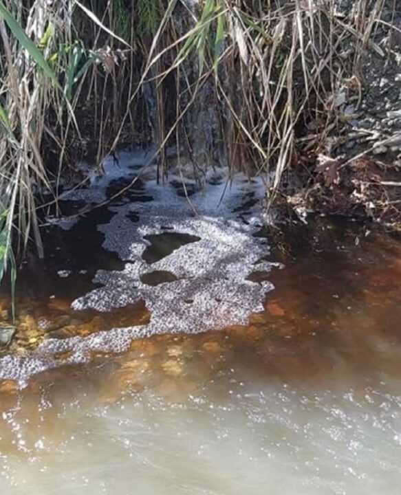 «Ορίζοντες Ηπείρου»: Οικολογικό έγκλημα από τη λειτουργία του εργοστασίου επεξεργασίας στερεών αποβλήτων Ηπείρου στο Δήμο Δωδώνης