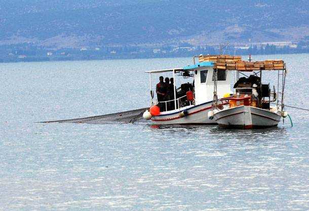 “Συρρικνώνεται” η παράκτια αλιεία στην Ήπειρο – Λιγότερες οι ποσότητες ψαριών που αλιεύτηκαν στον Αμβρακικό