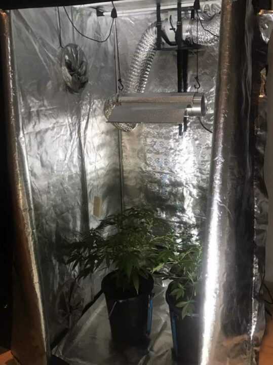Καλλιεργούσε στο σπίτι του στην Άρτα υδροπονική κάνναβη