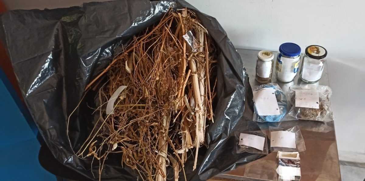 Άρτα: Συνελήφθη με ένα κιλό κάνναβη και αποξηραμένους κλώνους φυτού