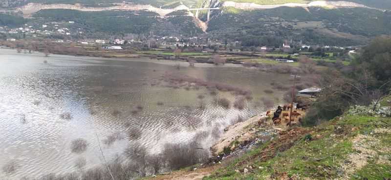 Εκτεταμένες ζημιές από την κακοκαιρία στον δήμο Σουλίου