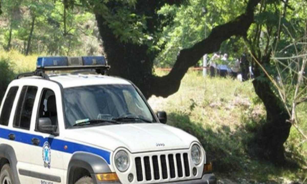Εξιχνιάστηκαν διαρρήξεις σε εξοχικές κατοικίες και καφετέρια στην Πέρδικα Θεσπρωτίας
