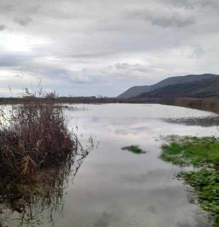SOS εκπέμπουν οι αγρότες της Άρτας – Πάνω από 10.000 στρέμματα είναι κάτω από το νερό