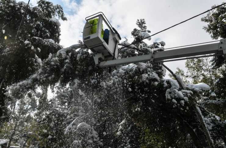 Τραγικό ατύχημα: Νεκρός άνδρας που καταπλακώθηκε από δέντρο