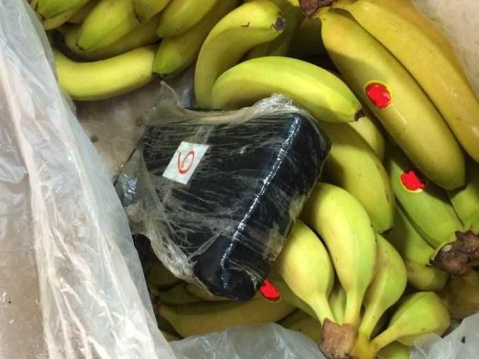 Οι μπανάνες «έκρυβαν» 100 κιλά κοκαΐνη – Επιχείρηση ΕΛ.ΑΣ. και ΣΔΟΕ στο λιμάνι του Πειραιά