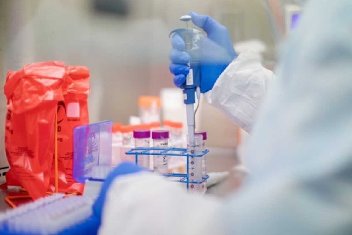 Μεγάλη διασπορά μεταλλάξεων στην Ήπειρο – Τι τρομάζει τους ειδικούς