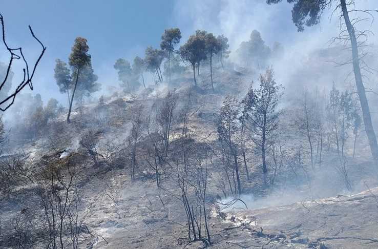 Και φέτος η φωτιά θεσμός στο Σκάνδαλο Παραμυθιάς – 6 εστίες σε λίγα λεπτά