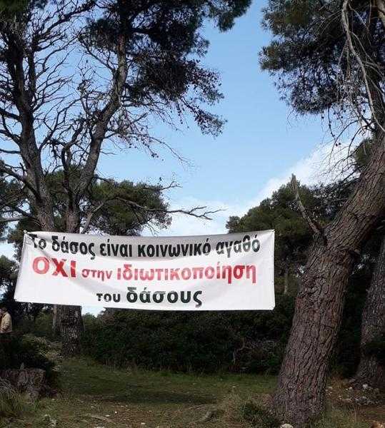 Σώστε το Αλωνάκι και το δάσος της Βαλανιδορράχης-Πρεβέζης