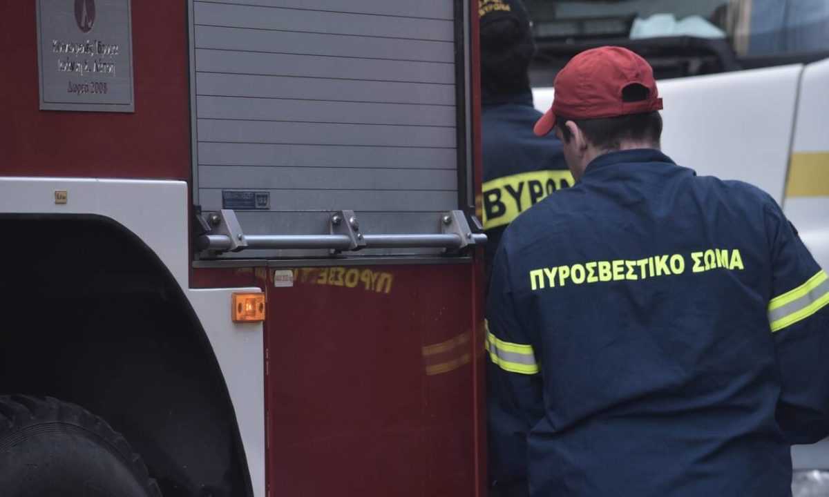 Άρτα: Απίστευτη περιπέτεια για 75χρονο – Τον τσίμπησε μέλισσα και έπαθε ανακοπή – Πώς τον έσωσαν