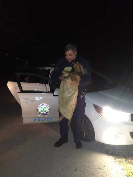 Αστυνομικοί του Α.Τ Άρτας έσωσαν τραυματισμένο Σκύλο