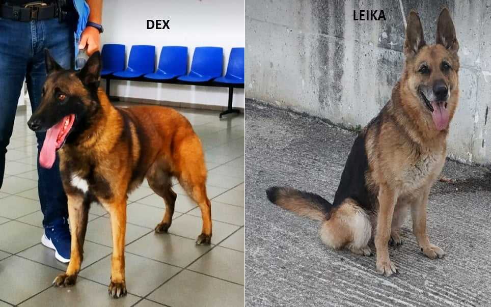 Αλλαγή «φρουράς» στο Τελωνείο της Κακαβιάς μετά από 8 χρόνια στην ενεργό δράση