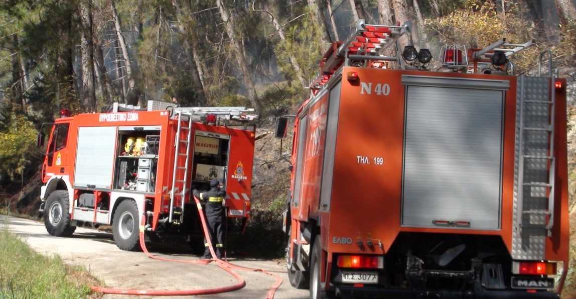 Φωτιά σε ελατόδασος στους Κουκουλιούς Σουλίου