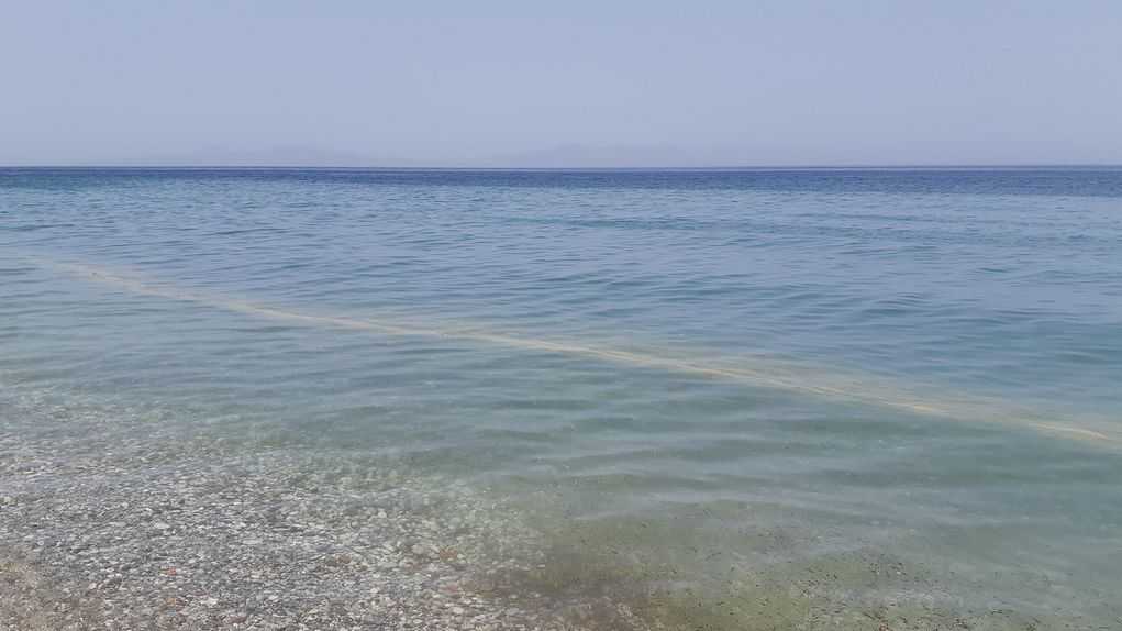 Πλαγκτόν και βλέννα πλήττουν αλιείς στην Ροδόπη – Σε 10 μέρες τα δείγματα για την τοξικότητα της βλέννας