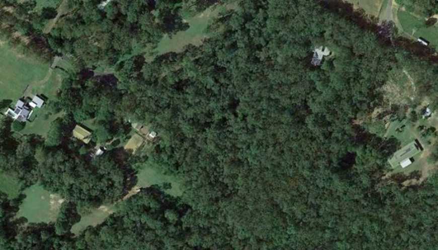 Ήπειρος: Παράταση στις ενστάσεις για τους Δασικούς Χάρτες