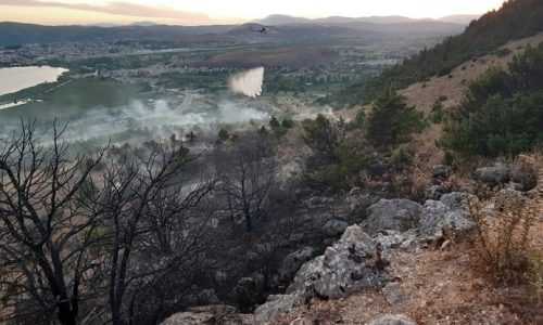 Υπό πλήρη έλεγχο η φωτιά στο Μιτσικέλι