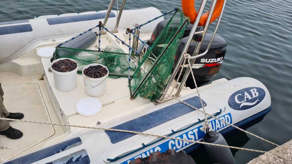 «Χτυπήματα» παράνομης αλιείας στον Αμβρακικό το Λιμεναρχείο Πρέβεζας