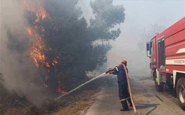 Πύρινα μέτωπα σε Θάσο, Αρκαδία, Αχαΐα, Καστοριά, Λάρισα, Ιωάννινα