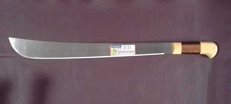 Κυκλοφορούσε στην Πρέβεζα με σπαθί τύπου «Ματσέτα»