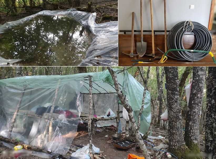 Εντοπίστηκε οργανωμένη φυτεία κάνναβης στην Κόνιτσα Ιωαννίνων