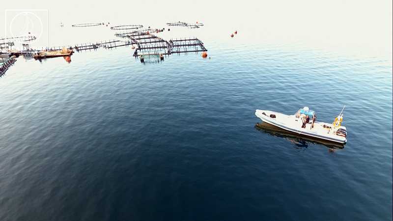 Αμβρακικός: Νέα στοιχεία για το ατύχημα με το 29χρονο αγνοούμενο