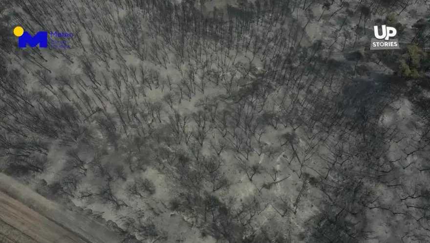 Βίντεο σοκ από τις καμένες εκτάσεις στην Εύβοια – Το μέγεθος της καταστροφής από drone – Θα λυγίσετε!