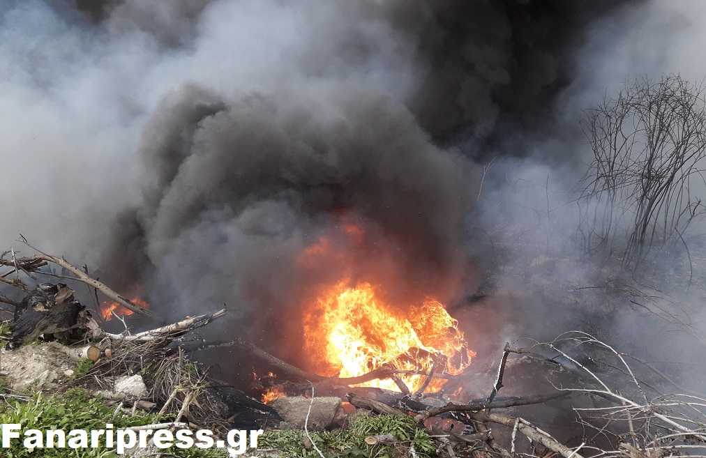 Φωτιά στην Άρτα: Καίγονται σπίτια στο Μύτικα – Εκκενώθηκε προληπτικά όλη η περιοχή!