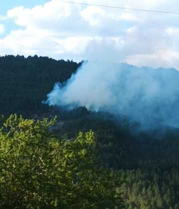 Υπό έλεγχο η φωτιά σε δασική περιοχή στην Φούρκα Κόνιτσας.