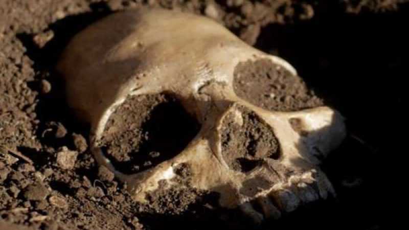 Μακάβριο εύρημα στα Βίλια: Βρέθηκε ανθρώπινο κρανίο σε καμένο κτήριο