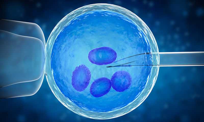 Κατάψυξη ωαρίων: Η επιστήμη δίπλα στη γυναίκα