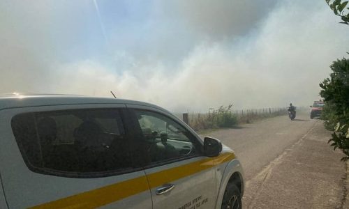 Υπό έλεγχο η φωτιά στη Ράχη Άρτας – Κινδύνευσαν κτηνοτροφικές μονάδες