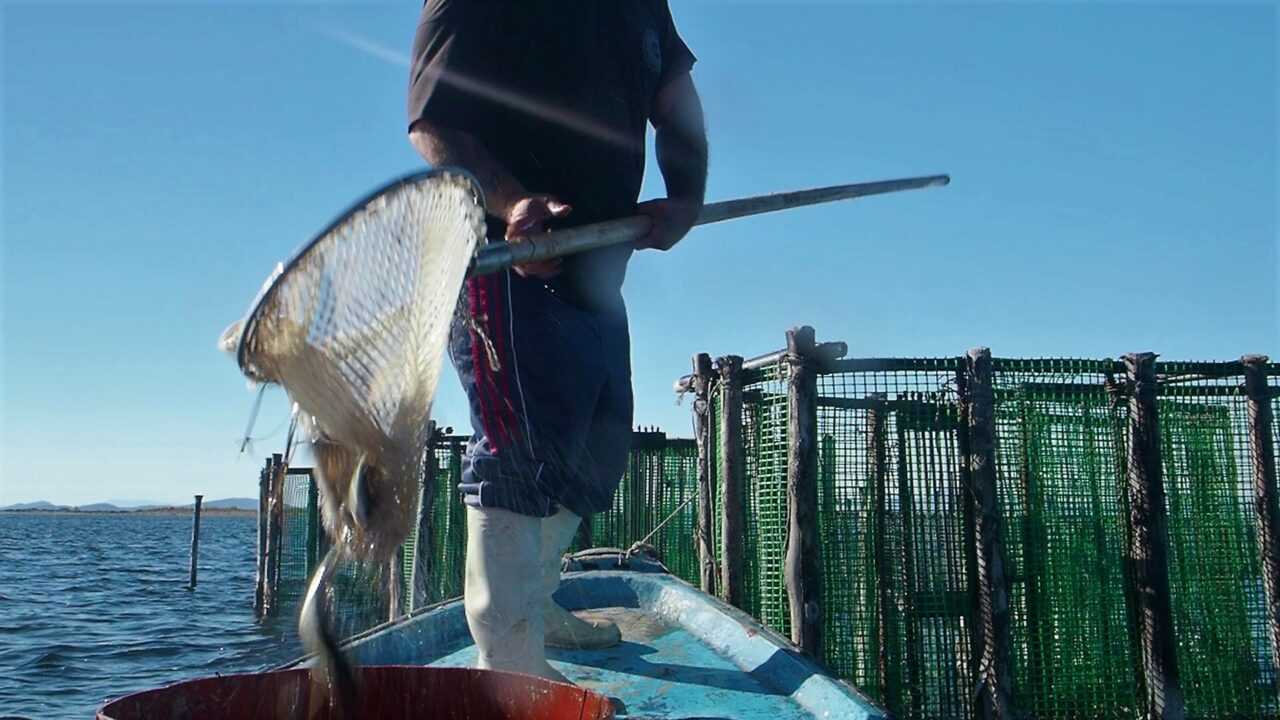 Ψαράς στο Μεσολόγγι εντόπισε ανθρώπινο σκελετό σε μικρό βάθος και κοντά στη στεριά