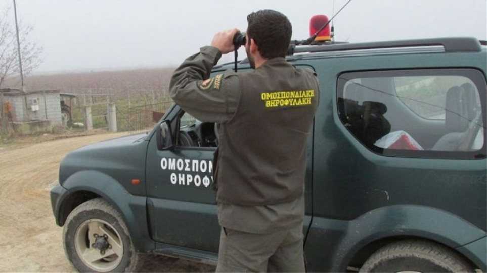 Μπαράζ συλλήψεων λαθροκυνηγών σε Γιάννενα και Σούλι Θεσπρωτίας