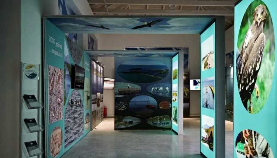 Πρέβεζα: Ένα ψηφιακό «ταξίδι» στο οικοσύστημα του Αμβρακικού