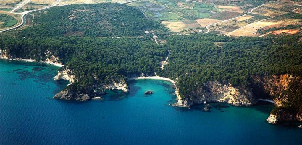 Στη βουλή η “ιδιωτικοποίηση” του δάσους Βαλανιδορράχης