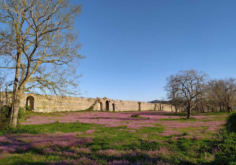 Ξεκινούν εργασίες ευπρεπισμού των αρχαιολογικών χώρων της Πρέβεζας