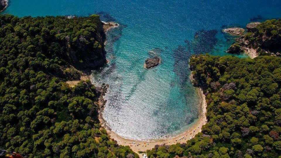 Αίτημα για αναψηλάφηση της δίκης για το δάσος της Βαλανιδροράχης