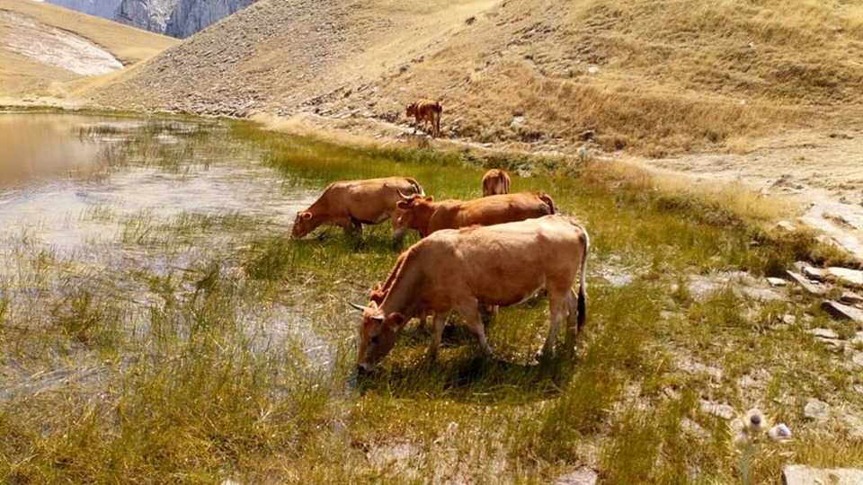 Ιωάννινα: Η Περιφέρεια αποποιείται την ευθύνη για τη Δρακόλιμνη