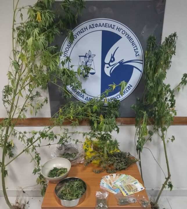 Συνελήφθη καλλιεργητής κάνναβης στην Θεσπρωτία