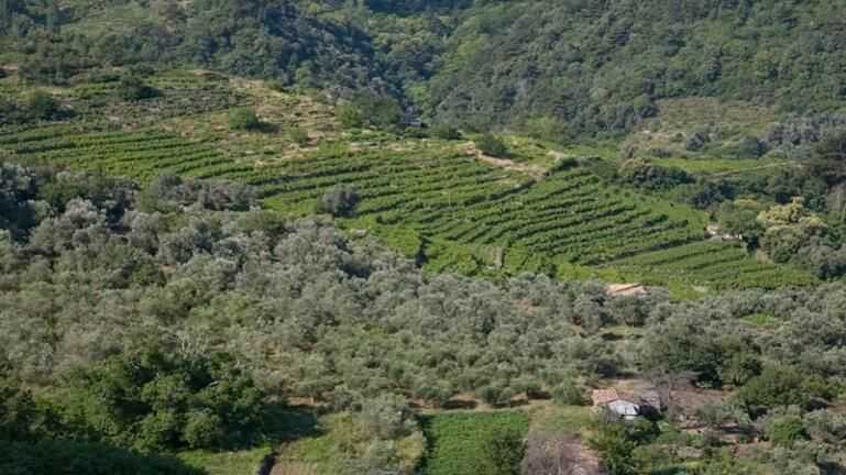 Παράταση στις αντιρρήσεις για τους δασικούς χάρτες σε Άρτα και Πρέβεζα