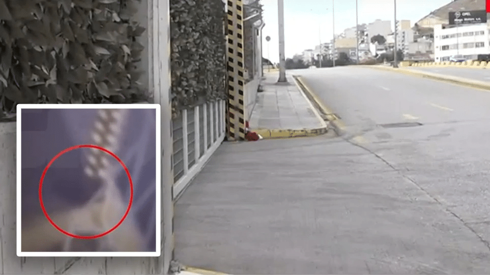 Συγκλονιστικά στοιχεία για τον θάνατο της 8χρονης – Πώς σφήνωσε στην πόρτα του εργοστασίου