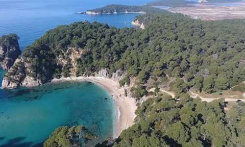 ΑΡιστερή Παρέμβαση στην Ήπειρο (ΑΡ.Π.Η) για το δάσος της Βαλανιδοράχης