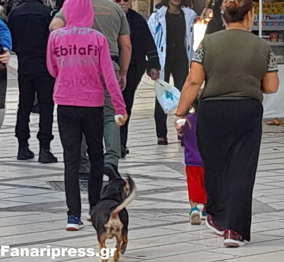 Γυναίκα Ρομά στην Άρτα έκλεψε από ηλικιωμένο 850 ευρώ