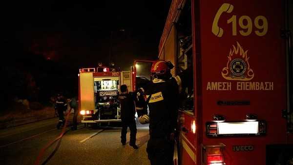 «Λαμπάδιασε» μεγάλη κτηνοτροφική μονάδα – Κάηκαν ζωντανά 60 πρόβατα