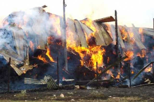 Φωτιά σε κτηνοτροφική μονάδα απανθράκωσε 250 ζώα