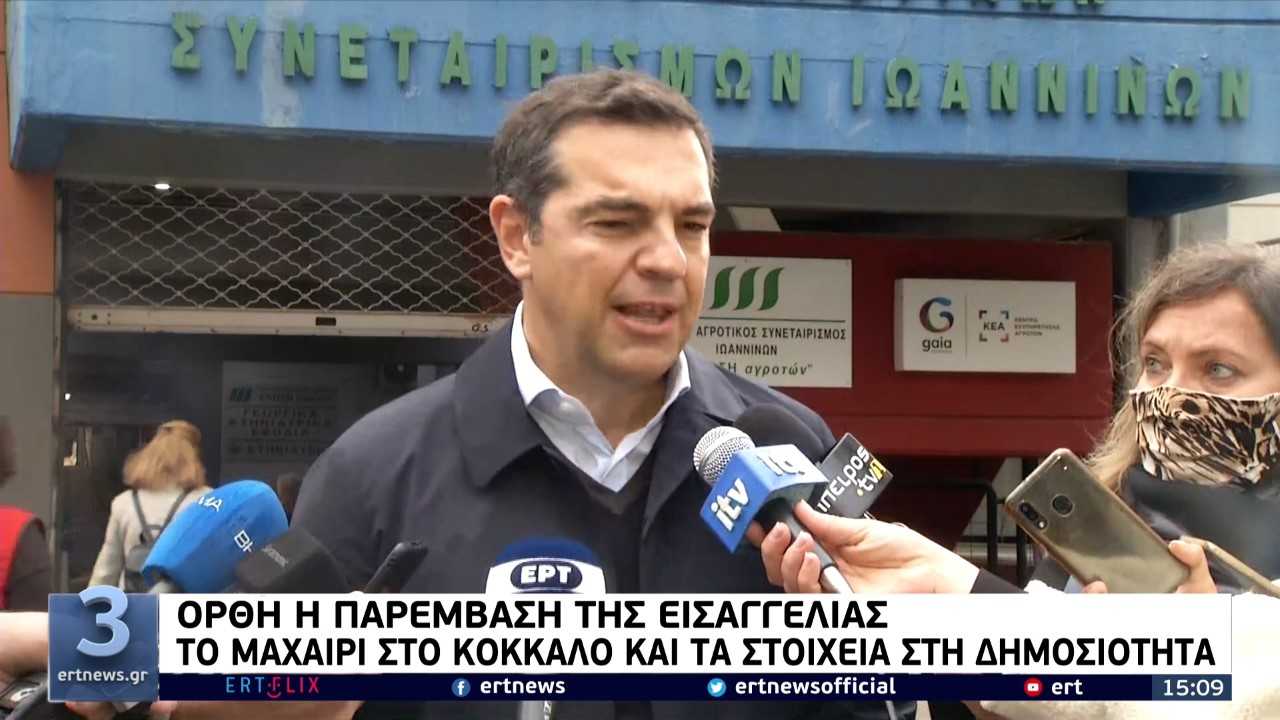 Ιωάννινα – Α. Τσίπρας: Να συνεχισθούν τα μέτρα στήριξης στους πληττόμενους επαγγελματίες – Να δοθούν στοιχεία για τις ΜΕΘ (video)