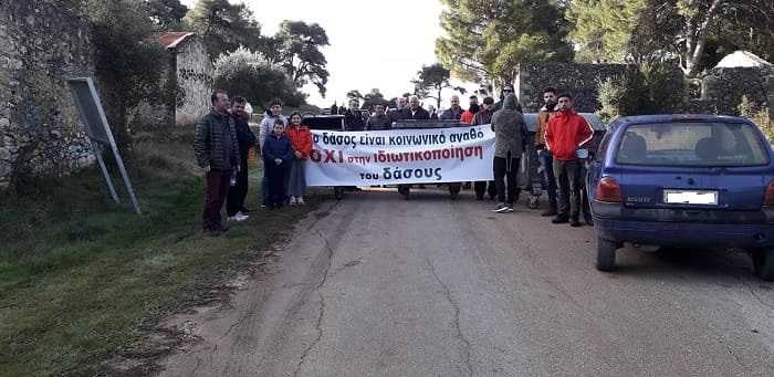 Βόμβα για το Δάσος Βαλανιδορράχης – Η Αποκεντρωμένη ανακάλεσε την έγκριση της Διαχειριστικής Μελέτης