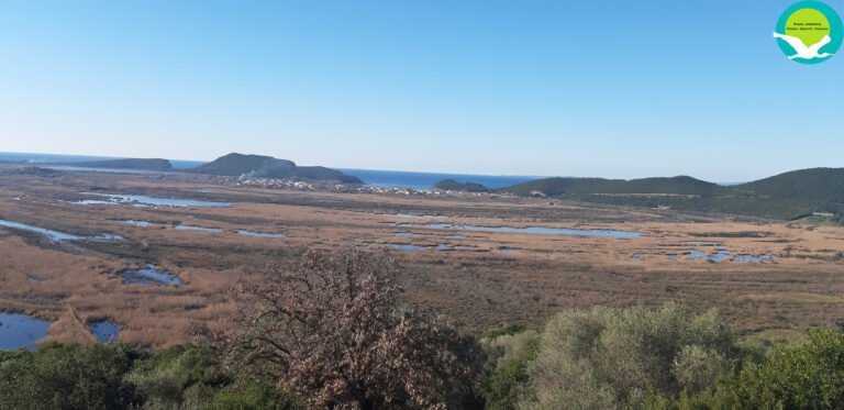 Με επιτυχία πραγματοποιήθηκαν οι Μεσοχειμωνιάτικες Καταμετρήσεις Υδρόβιων Πουλιών σε Αχέροντα και Καλαμά